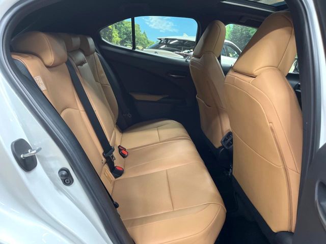 LEXUS UX250h