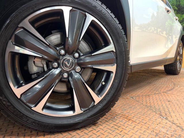 LEXUS UX250h