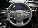 LEXUS UX250h