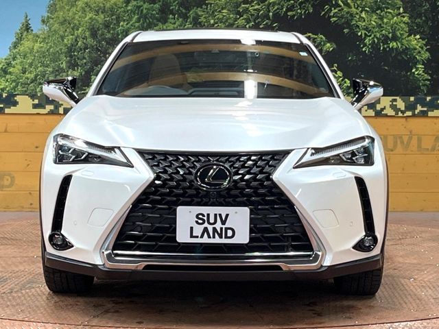 LEXUS UX250h