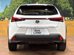 LEXUS UX250h