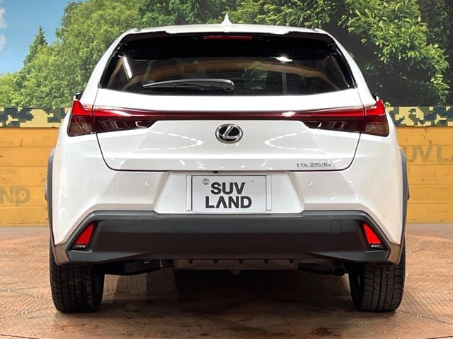 LEXUS UX250h