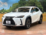 LEXUS UX250h