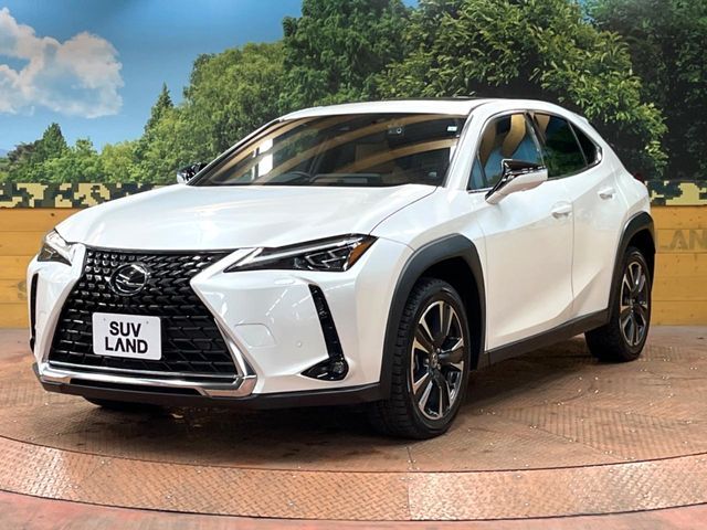 LEXUS UX250h