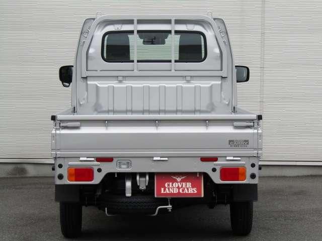 CARRY truck