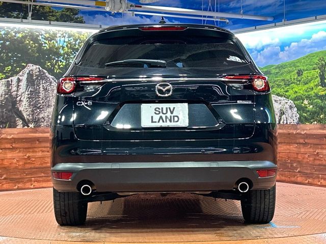 CX-8