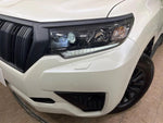 LANDCRUISER PRADO
