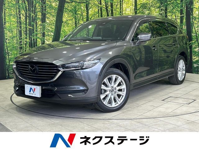 CX-8