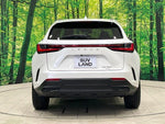 LEXUS NX350h AWD