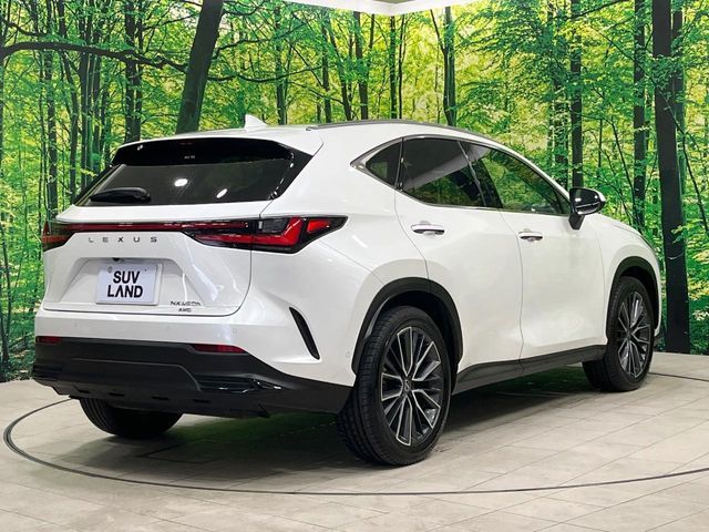 LEXUS NX350h AWD