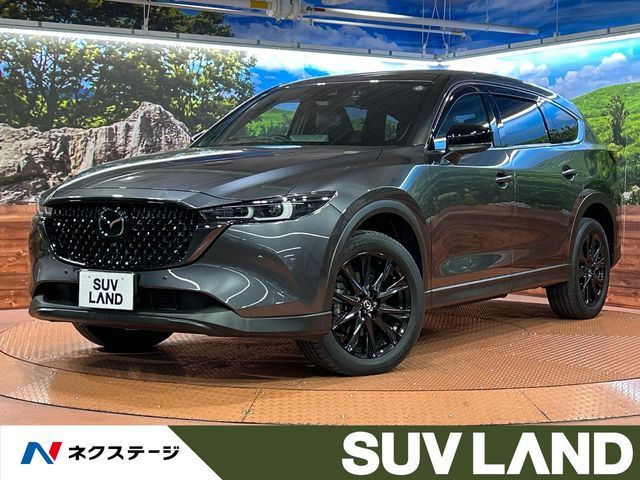 CX-8