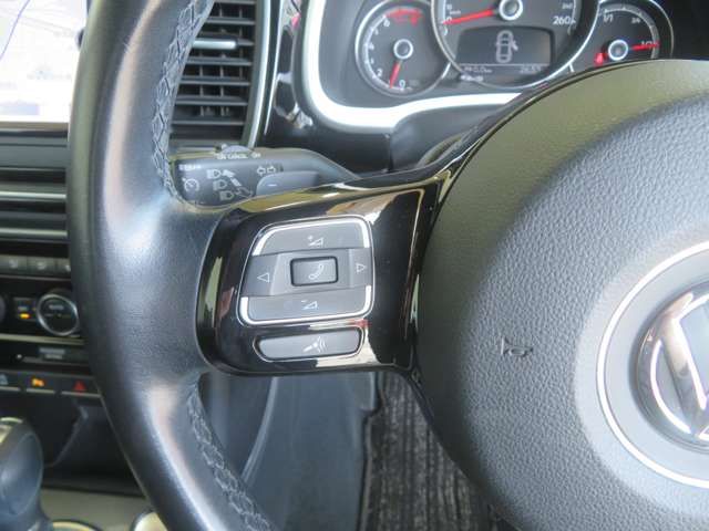 VOLKSWAGEN The BEETLE