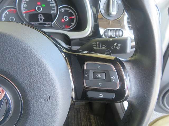 VOLKSWAGEN The BEETLE