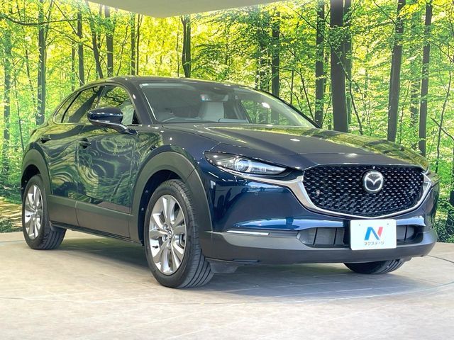 CX-30