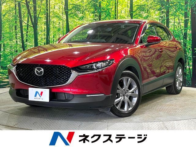 CX-30