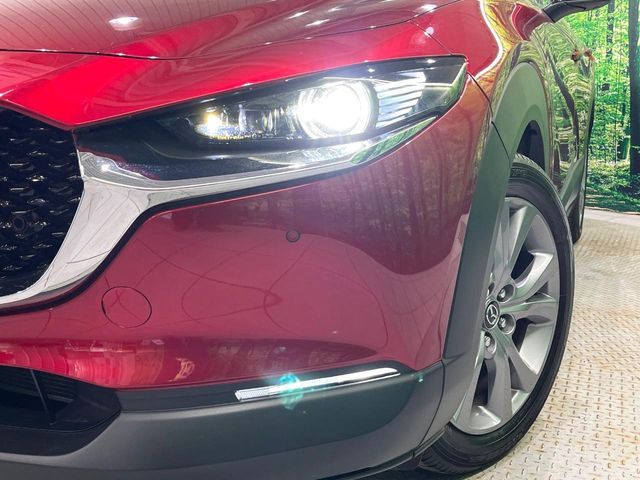 CX-30