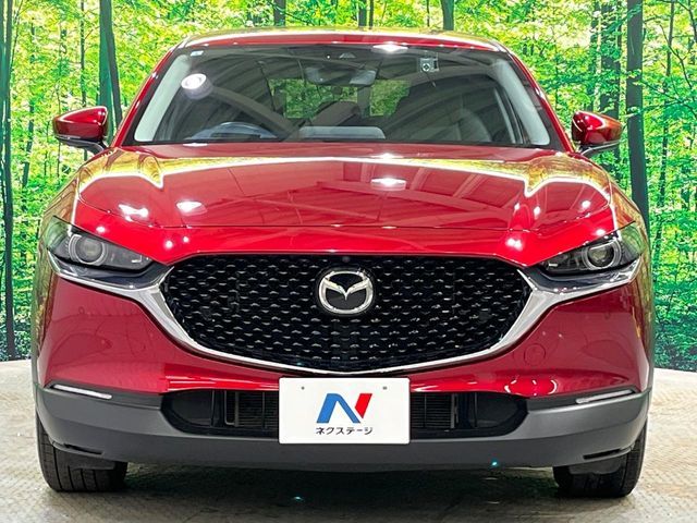 CX-30