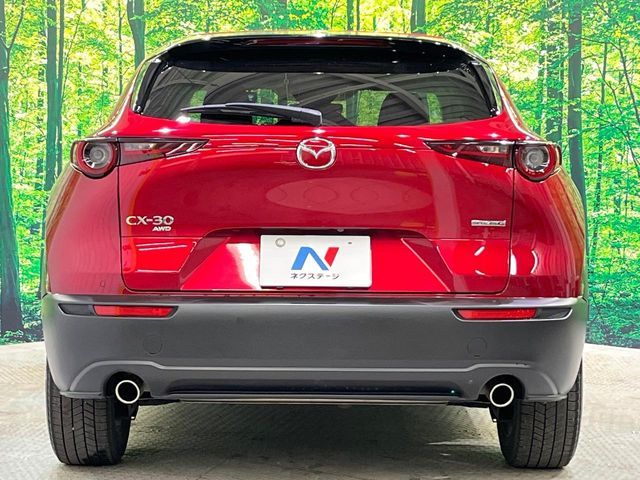 CX-30