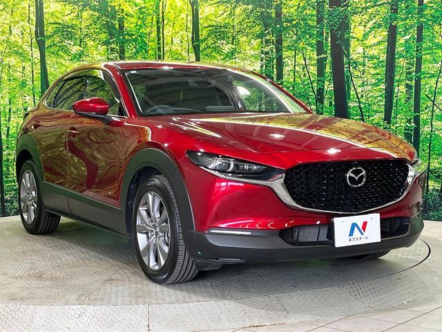 CX-30