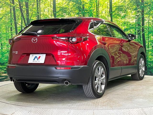 CX-30