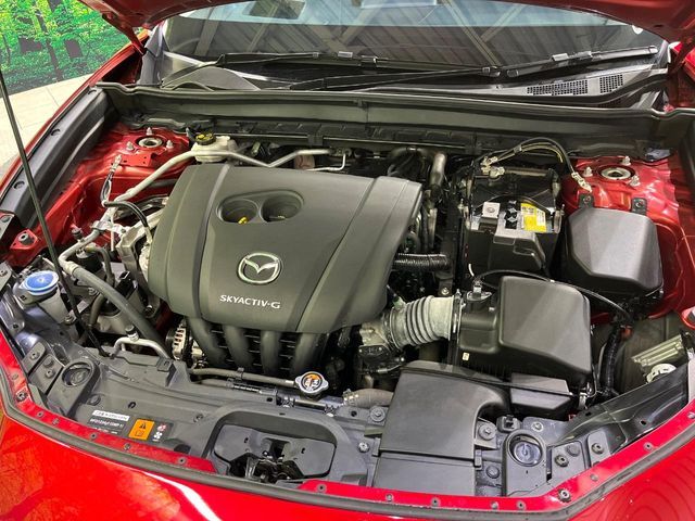 CX-30