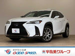 LEXUS UX250h