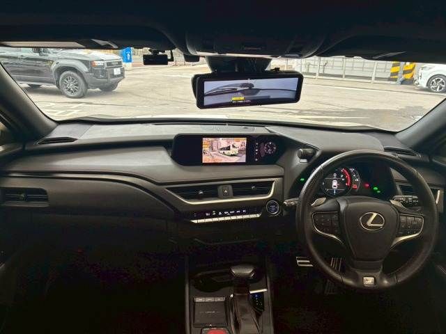 LEXUS UX250h
