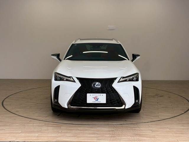 LEXUS UX250h
