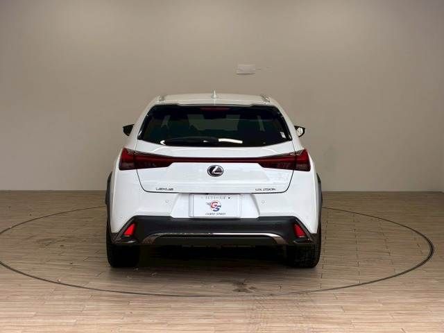 LEXUS UX250h