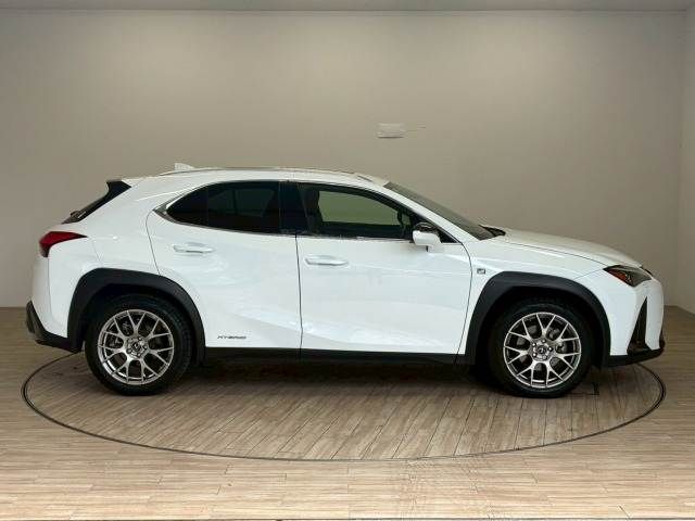 LEXUS UX250h