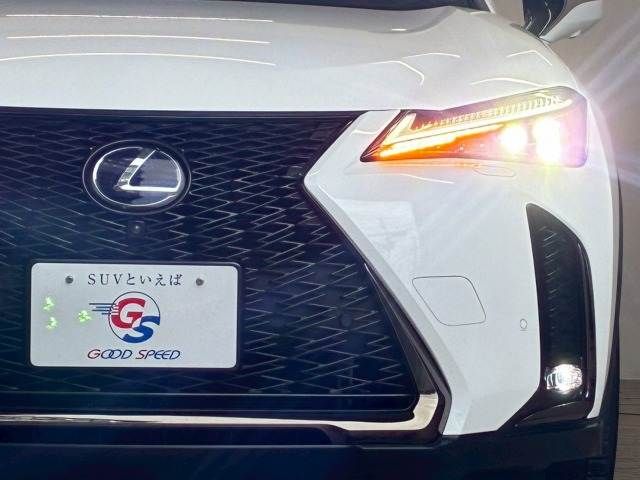 LEXUS UX250h