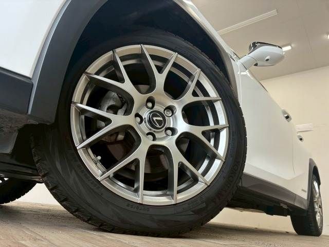 LEXUS UX250h