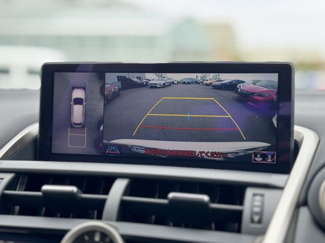 LEXUS NX300h