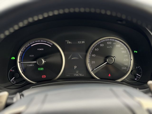 LEXUS NX300h