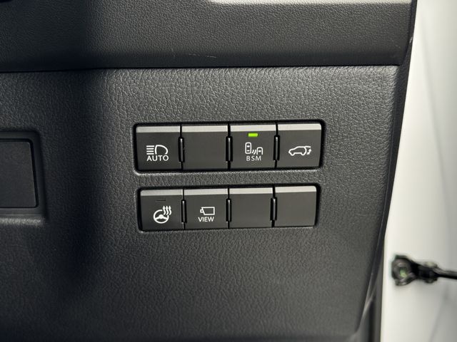 LEXUS NX300h
