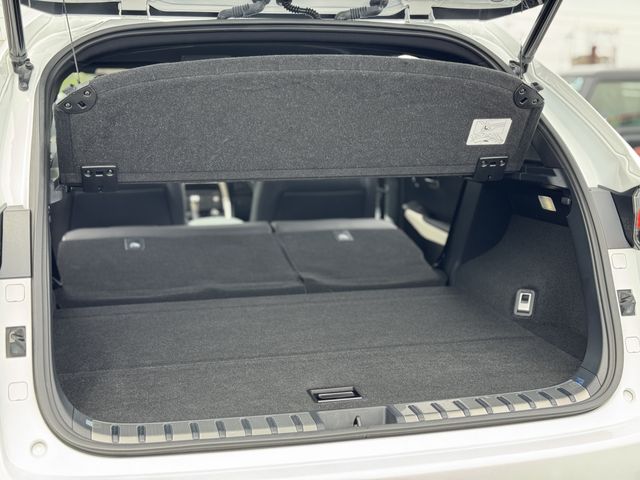 LEXUS NX300h