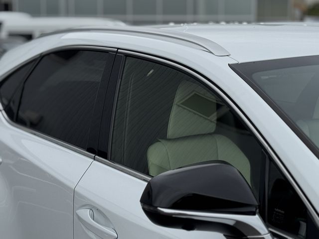 LEXUS NX300h