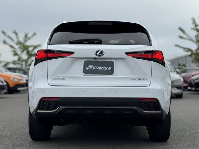LEXUS NX300h