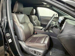 LEXUS RX450h+