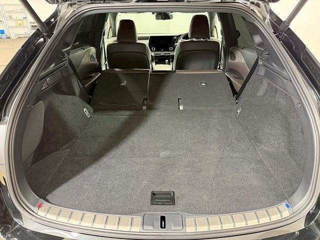 LEXUS RX450h+
