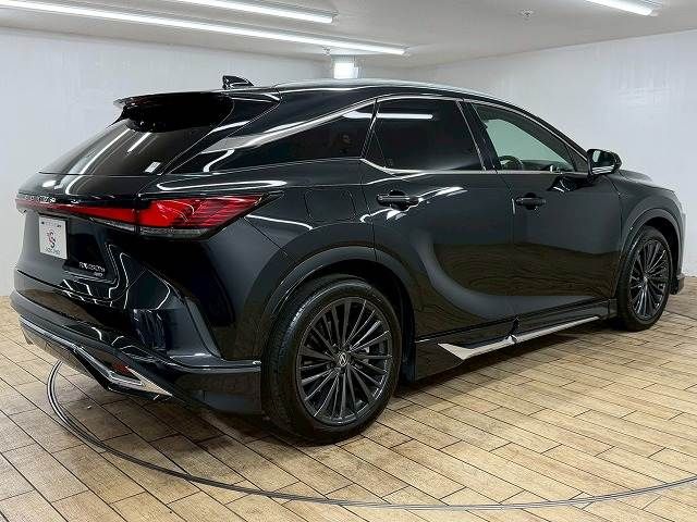 LEXUS RX450h+