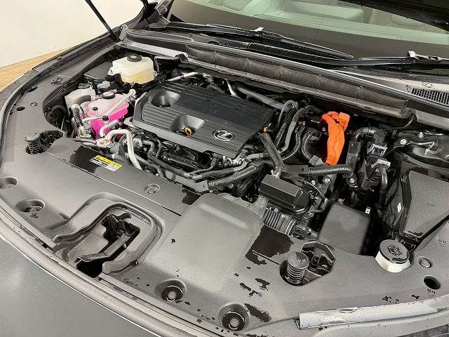 LEXUS RX450h+