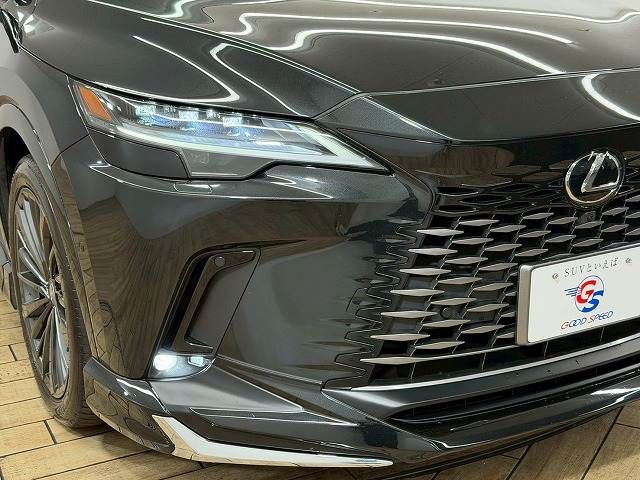 LEXUS RX450h+