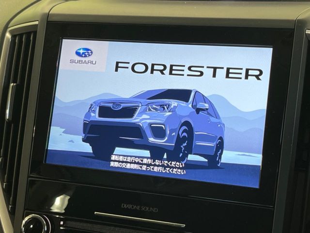 FORESTER
