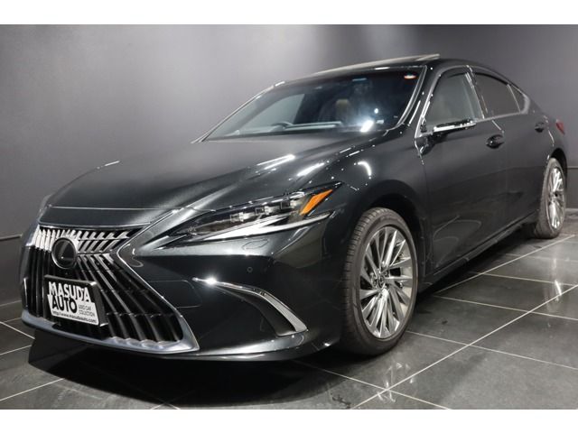 LEXUS ES300h