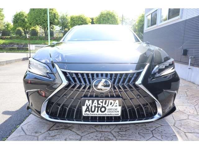 LEXUS ES300h