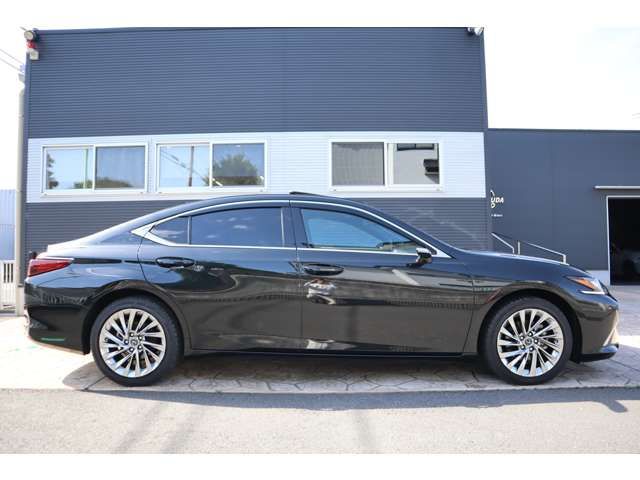 LEXUS ES300h