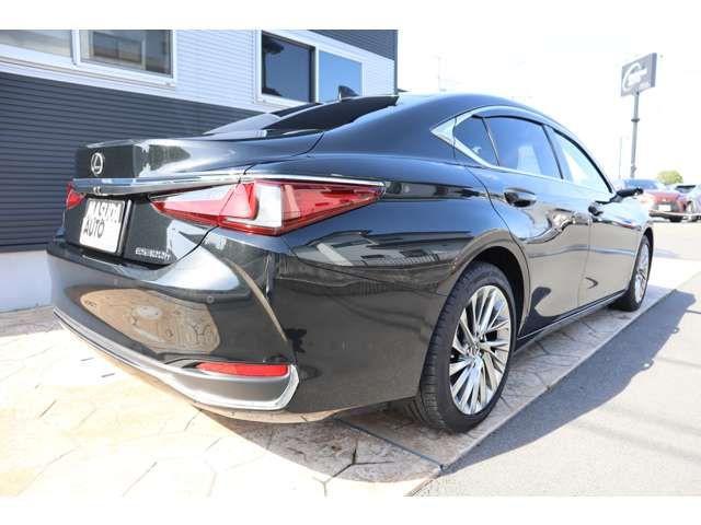 LEXUS ES300h
