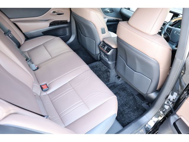 LEXUS ES300h