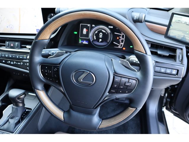 LEXUS ES300h